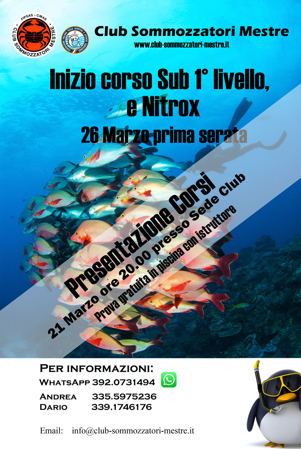 corso 1° grado