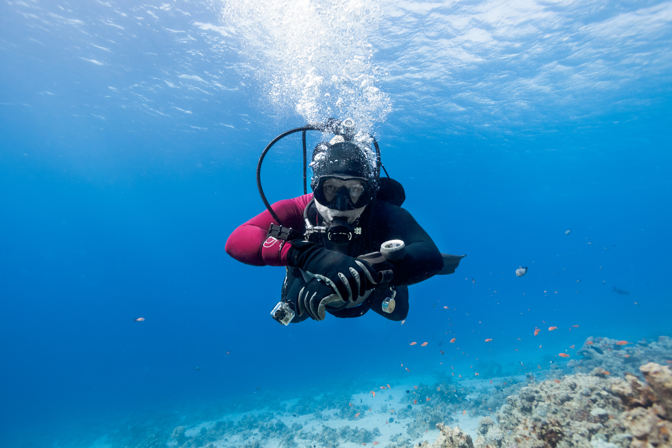 Inizio Corsi ARA  1° e Biologia - Settembre  2019